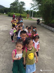 南安市丰州金鸡幼儿园组织幼儿参观新金鸡拦河闸活动