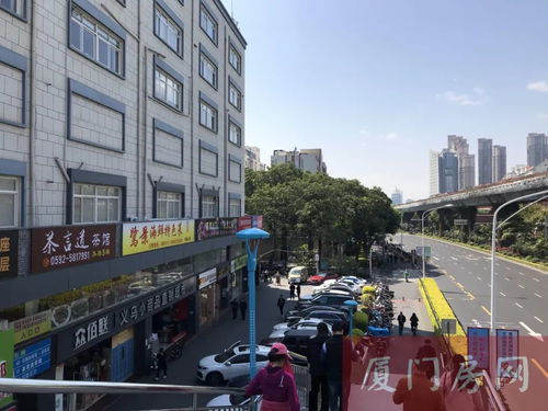 金鸡亭幼儿园 岛内教育新标杆，已实现“破5冲6”的跨越式发展